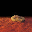 Exo Terra Heat Wave Roca Calefactora para terrario, , large indicador imagen numero 3